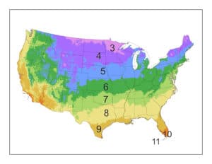 US Hardiness Grow Zone Map