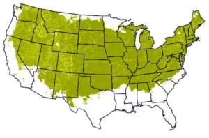 Grow Zones 3 - 7