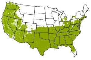 Grow Zones 6 - 9