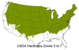 Grow Zones 3 - 7