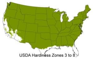 Grow Zones 3 - 8