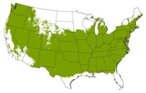 Grow Zones 5 - 8