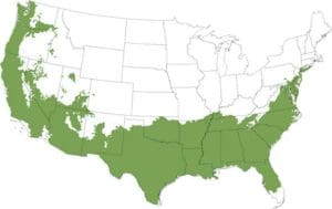 USDA Hardiness Zones 7 to 9