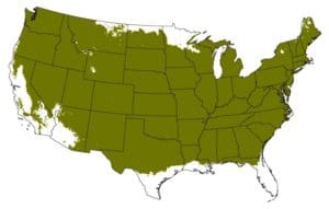 Grow Zones 4 to 8