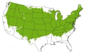 Grow Zones 4 to 7