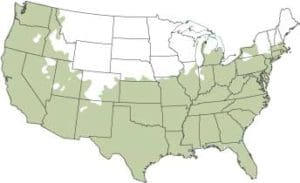 Grow Zones 6-11