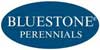 Bluestone Perennials