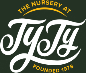 TyTy nursery