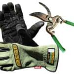 spring pruning shrubs