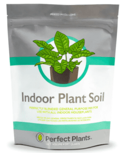 Perfect Plants Indoor Plant Soil