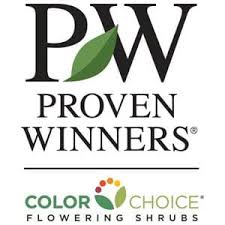 Proven Winners Color Choice