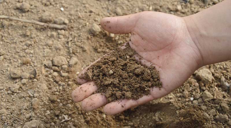 soil testing