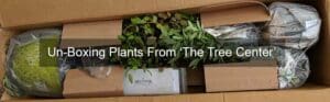 The Tree Center Un-boxing