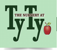 TyTy Nursery Review, Ratings & Grade