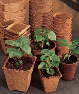biodegradable fiber pots
