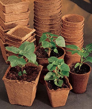 biodegradable fiber pots