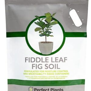 Fiddle Leaf Fig Soil