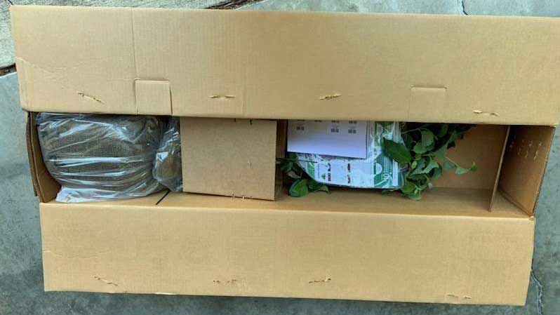 Unboxing from fast-growing-trees.com