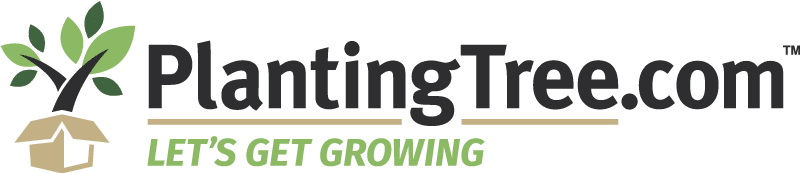 The Best Places To Buy Plants Online In 2025