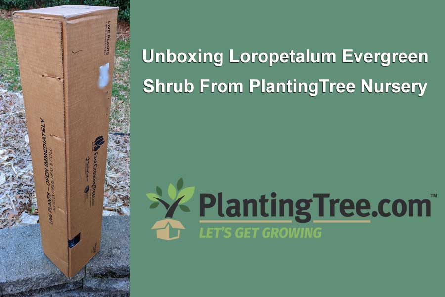 unboxing from plantingtree.com