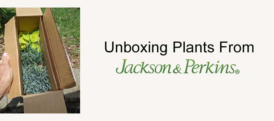 Jackson & Perkins Unboxing