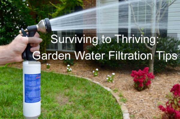 Yard And Garden Water Filtration Tips | BuyEvergreenShrubs.com