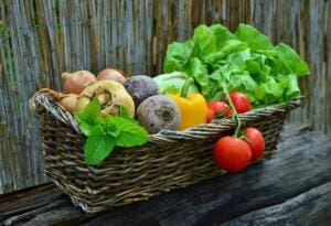 vegetable garden