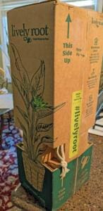 Lively Root Unboxing