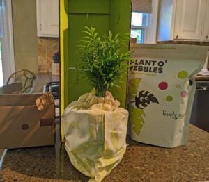 Lively Root Unboxing