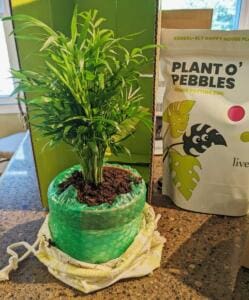 Lively Root Unboxing