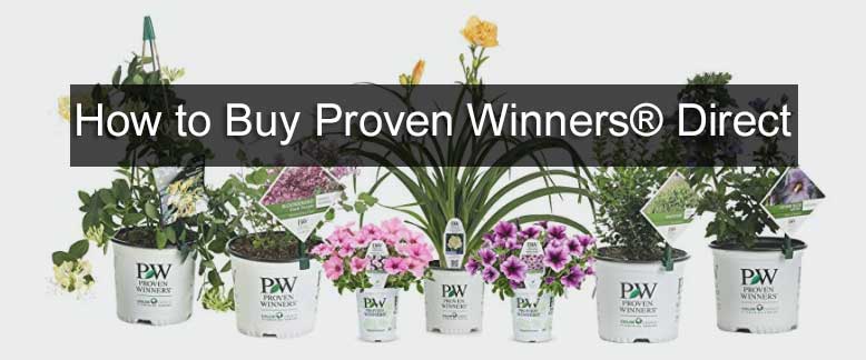 Proven Winners